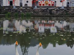 -呈坎景区