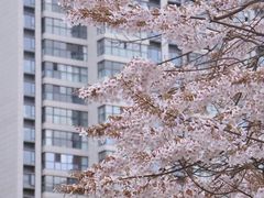 -红星桥(地铁站)