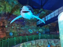 -青岛嘉年华主题乐园