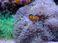 -多彩贵州城极地海洋世界