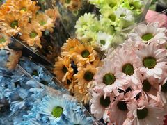-循礼门鲜花花市(武汉循礼门店)
