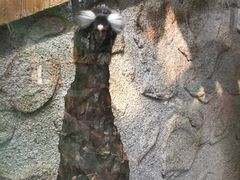 -上海大自然野生昆虫馆