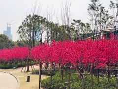 -上海市龙华烈士陵园