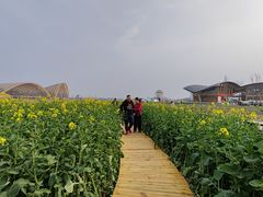 -中国天府农业博览园