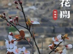-南京城墙景区