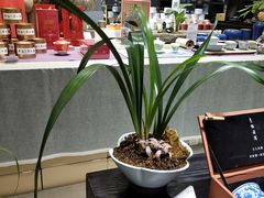 -徽镇小厨·经典徽菜(马连道店)