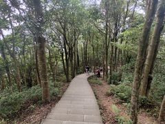 -梧桐山风景名胜区