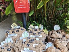 -大象粑粑造纸公园