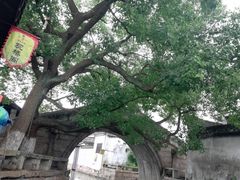 -观桥阁(锦溪店)