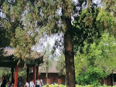 -洛阳白马寺