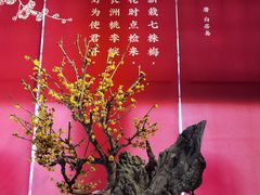 -颐和园