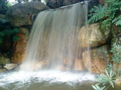 DSC01845-广州珠江公园