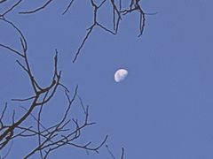 -中华圣公会教堂旧址