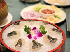 -沙龙酒家