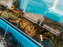 -港畔赶海蒸汽海鲜烧烤自助(仙螺岛店)