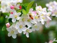-南京金牛湖风景区