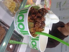llaollao(又优)冻酸奶(建外SOHO店)-Salud撒露欧洲冻酸奶(北苑上品店)