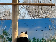 -秦皇岛野生动物园