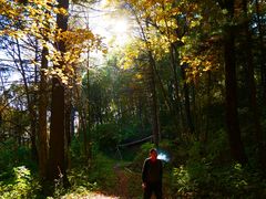 -五营红松林海景区