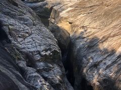 -广州白江湖森林公园