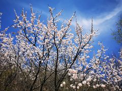 -云峰山自然风景区