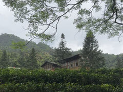 -姑婆山旅游区