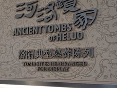 -洛阳古墓博物馆