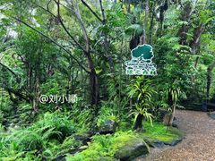 -绿光森林餐厅