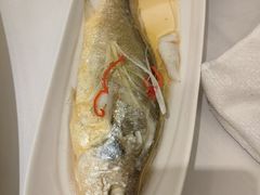 清蒸爆腌海鲈鱼-小厨晓味(大里路店)