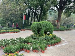 -南山植物园