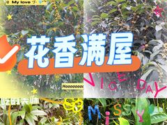 -砂之船奥特莱斯(合肥店)