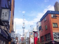 -一蘭拉面(新宿中央东口店)