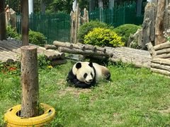 -大连森林动物园