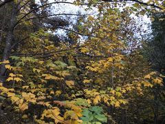-昆嵛山石门里景区