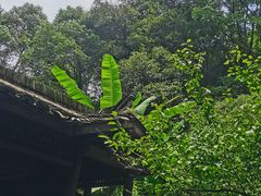 -黄公望隐居地