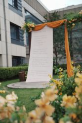 -曼格纳婚礼艺术中心(张江店)