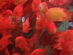 -洛阳龙门海洋馆