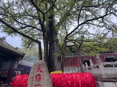 -红螺寺