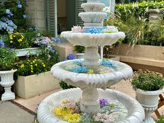 -苏小糖(鼓浪屿三丘田花园店)