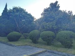 -三塔倒影公园