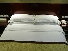 -维也纳国际酒店·上海虹桥火车站国家会展中心店