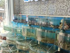 -仙螺岛海鲜自助餐厅(总店)