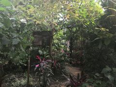 -呀路古热带植物园