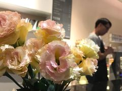 -双风车咖啡馆 Twin Windmills(六道口店)