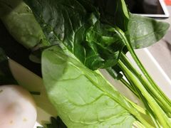 -海底捞火锅(铂澜大象城店)