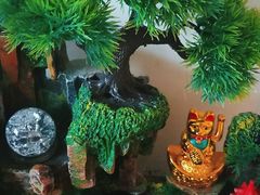 -万达广场(泰安泰山店)