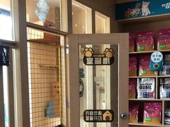 -千城康桥宠物医院·猫科·骨科·心脏