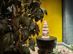 -丽思卡尔顿酒店泳池(金融街店)