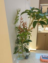 点击看大图 -头道汤头疗养生馆