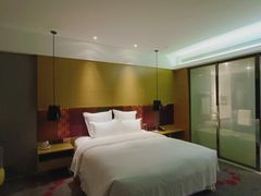 -南京禄口机场雅高铂尔曼大酒店